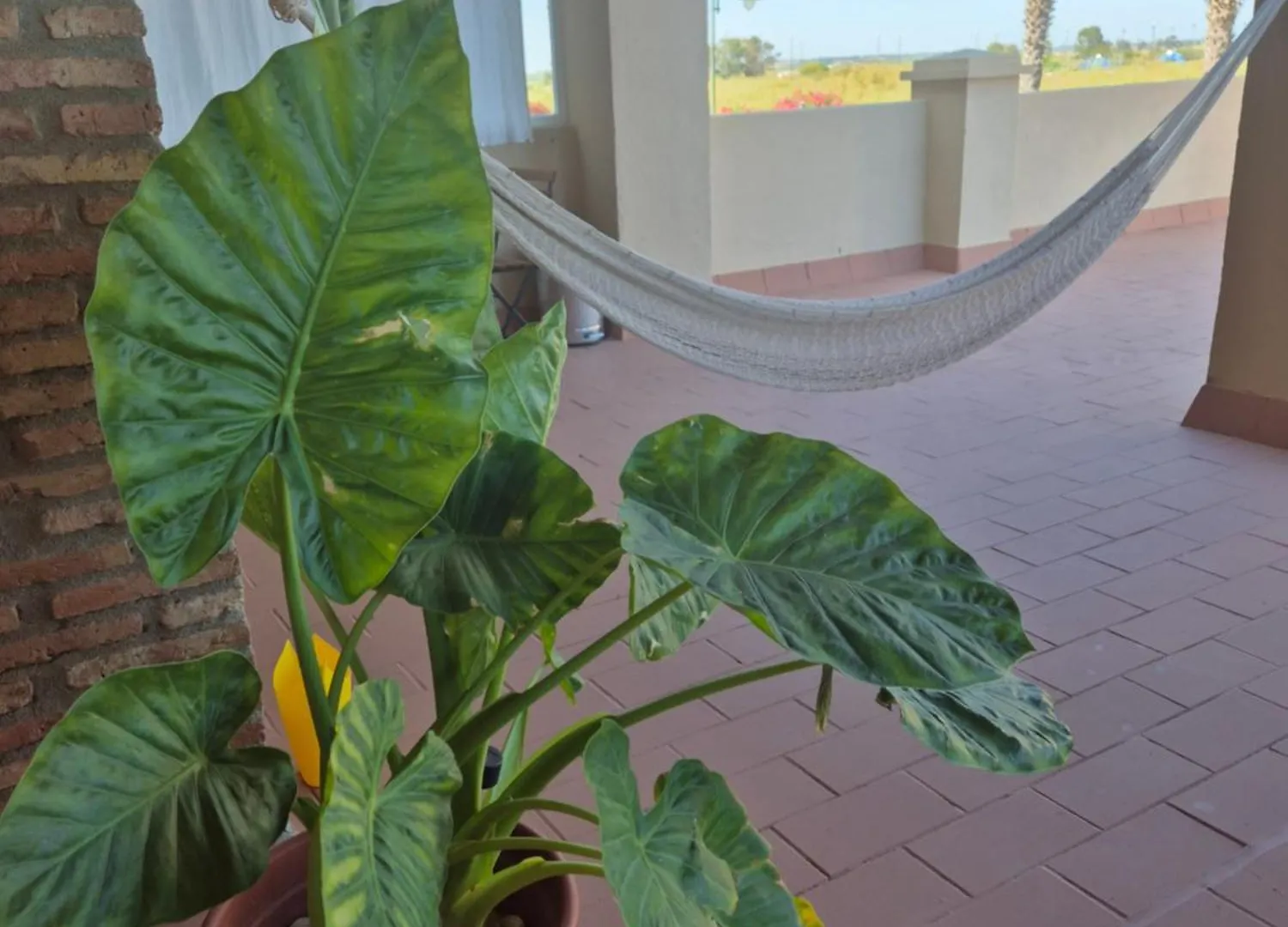 Top Apartment! Frente Al Mar Y Gran Terraza Ayamonte